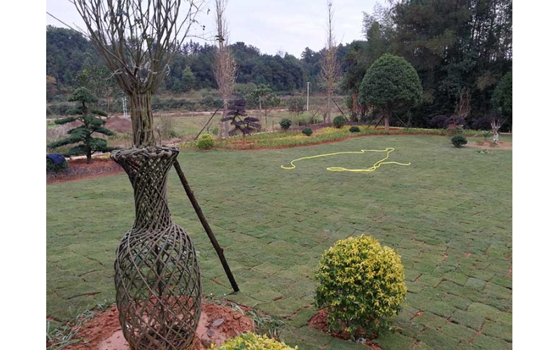 湖南華苑園林為長沙縣開慧鄉喻總的農莊設計了精致園林綠化方案，包括草坪、造型樹、喬木、灌木等多種植物。